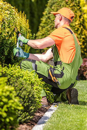 Hill Country Pristine LLC's Service