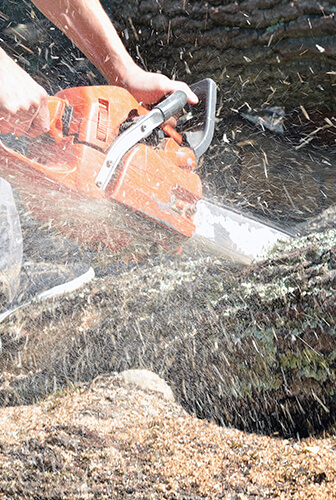 Hill Country Pristine LLC's Service